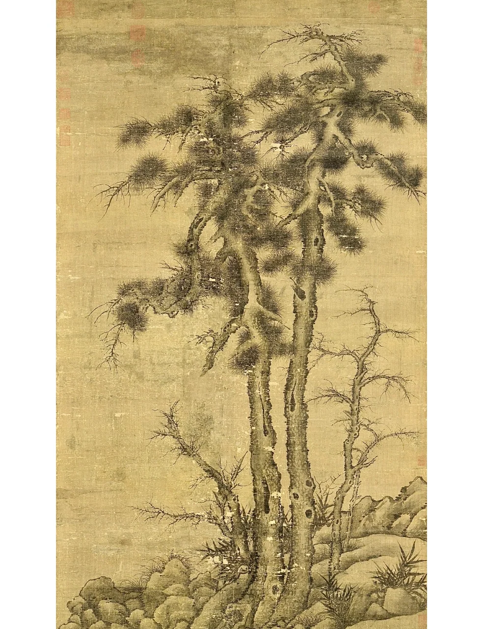 王衎(王衎清)